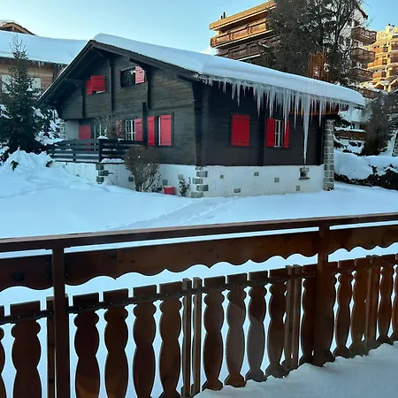 New In Center * クラン